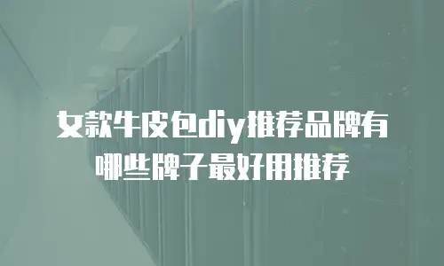 女款牛皮包diy推荐品牌有哪些牌子最好用推荐