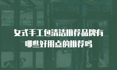 女式手工包清洁推荐品牌有哪些好用点的推荐吗