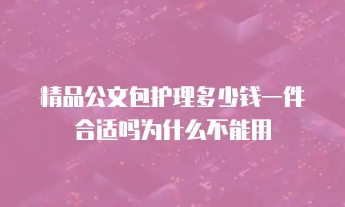 精品公文包护理多少钱一件合适吗为什么不能用