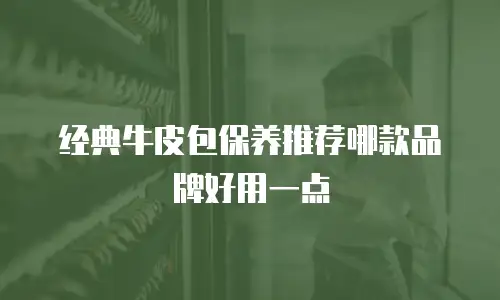 经典牛皮包保养推荐哪款品牌好用一点