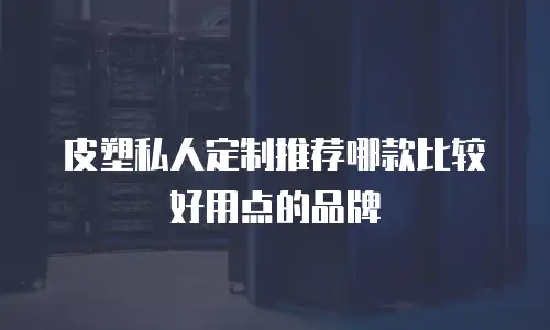 皮塑私人定制推荐哪款比较好用点的品牌