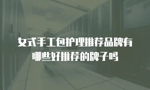 女式手工包护理推荐品牌有哪些好推荐的牌子吗