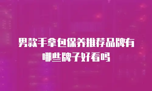 男款手拿包保养推荐品牌有哪些牌子好看吗