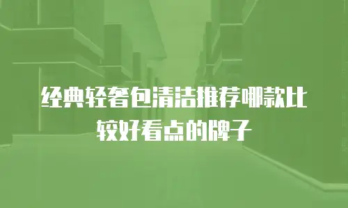 经典轻奢包清洁推荐哪款比较好看点的牌子