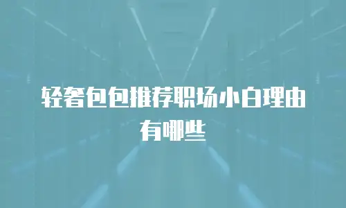 轻奢包包推荐职场小白理由有哪些