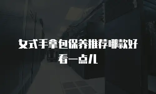 女式手拿包保养推荐哪款好看一点儿