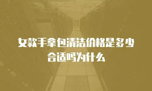 女款手拿包清洁价格是多少合适吗为什么