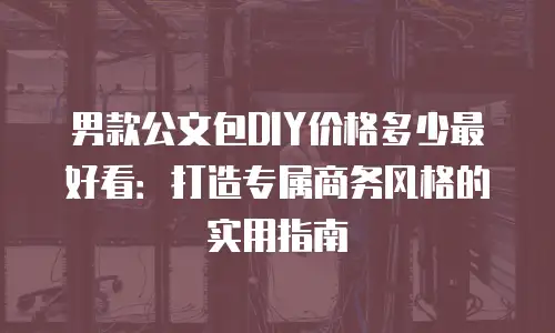 男款公文包DIY价格多少最好看：打造专属商务风格的实用指南