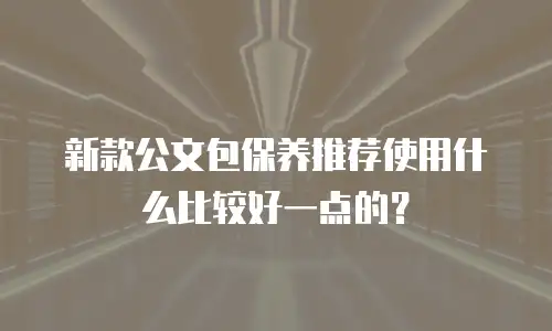 新款公文包保养推荐使用什么比较好一点的？