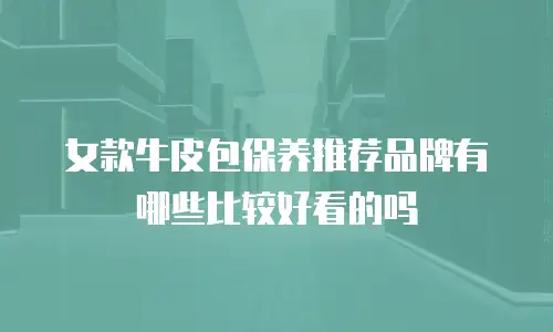 女款牛皮包保养推荐品牌有哪些比较好看的吗