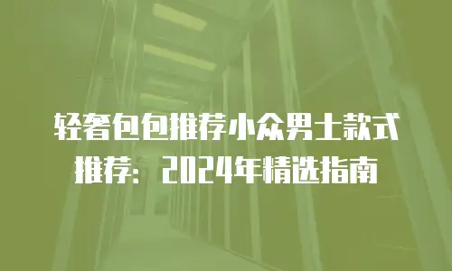 轻奢包包推荐小众男士款式推荐：2024年精选指南