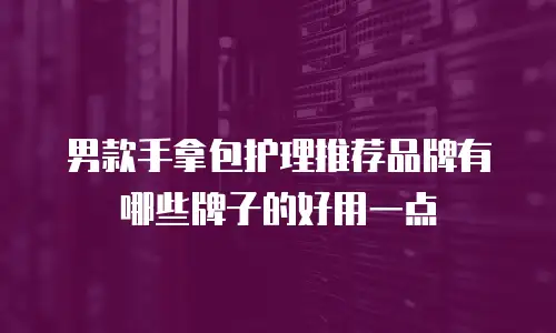 男款手拿包护理推荐品牌有哪些牌子的好用一点