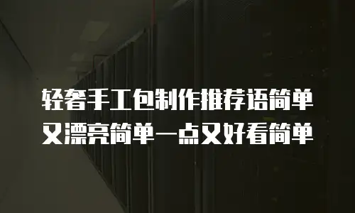 轻奢手工包制作推荐语简单又漂亮简单一点又好看简单