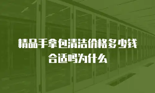 精品手拿包清洁价格多少钱合适吗为什么