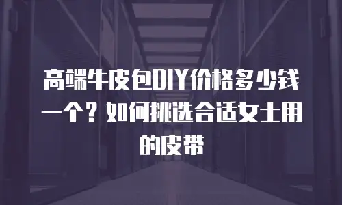 高端牛皮包DIY价格多少钱一个？如何挑选合适女士用的皮带