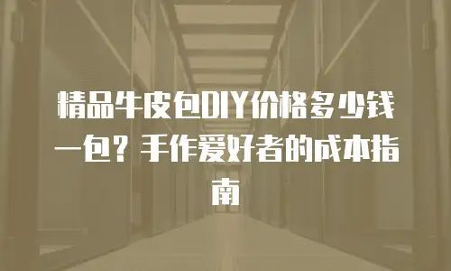 精品牛皮包DIY价格多少钱一包？手作爱好者的成本指南