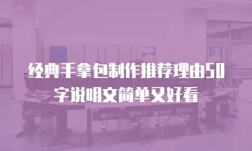 经典手拿包制作推荐理由50字说明文简单又好看