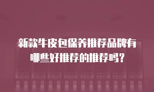 新款牛皮包保养推荐品牌有哪些好推荐的推荐吗？
