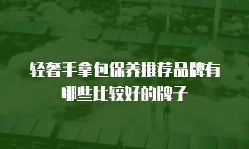 轻奢手拿包保养推荐品牌有哪些比较好的牌子