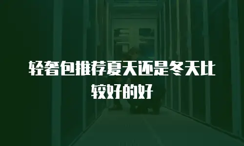 轻奢包推荐夏天还是冬天比较好的好