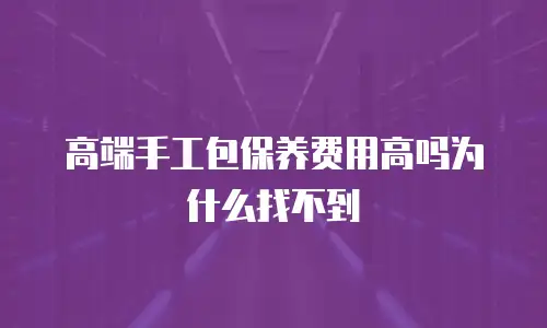 高端手工包保养费用高吗为什么找不到