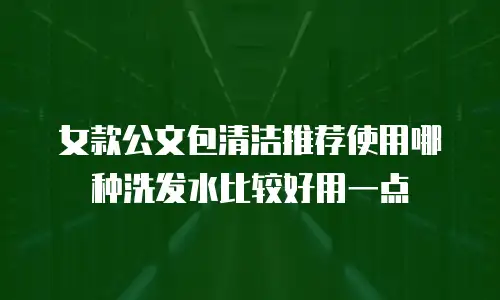 女款公文包清洁推荐使用哪种洗发水比较好用一点