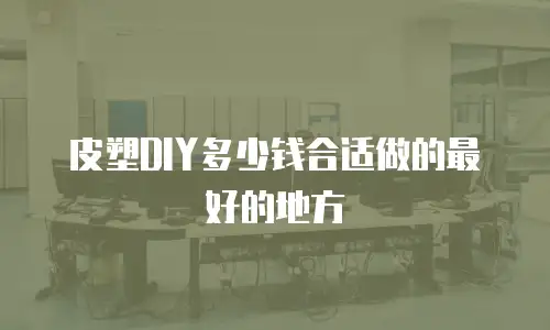 皮塑DIY多少钱合适做的最好的地方