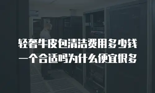 轻奢牛皮包清洁费用多少钱一个合适吗为什么便宜很多