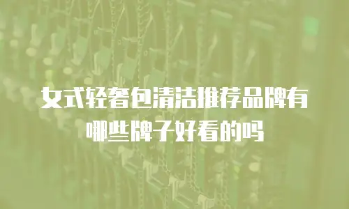 女式轻奢包清洁推荐品牌有哪些牌子好看的吗