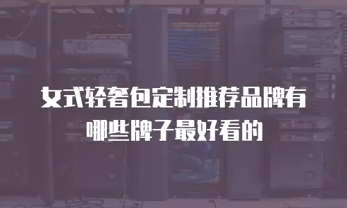 女式轻奢包定制推荐品牌有哪些牌子最好看的