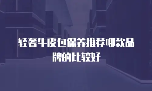 轻奢牛皮包保养推荐哪款品牌的比较好