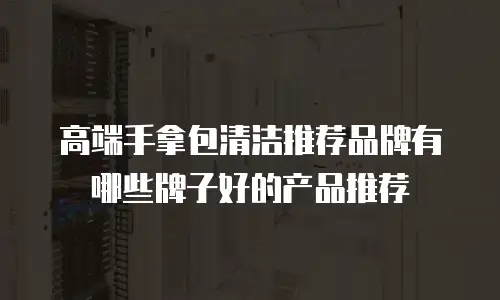 高端手拿包清洁推荐品牌有哪些牌子好的产品推荐