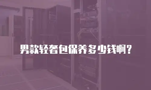 男款轻奢包保养多少钱啊？