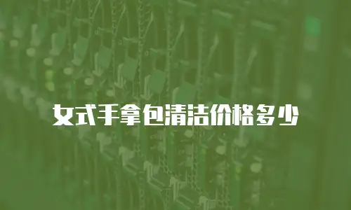 女式手拿包清洁价格多少