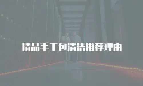 精品手工包清洁推荐理由