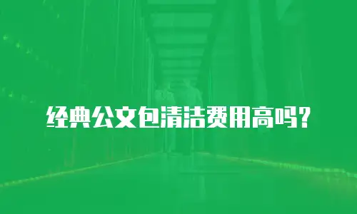 经典公文包清洁费用高吗？