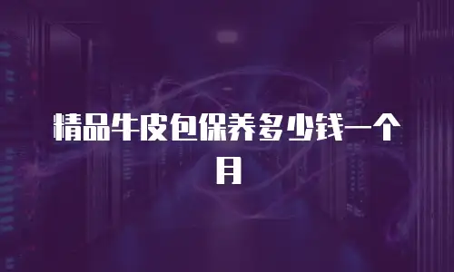 精品牛皮包保养多少钱一个月
