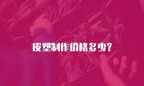皮塑制作价格多少？