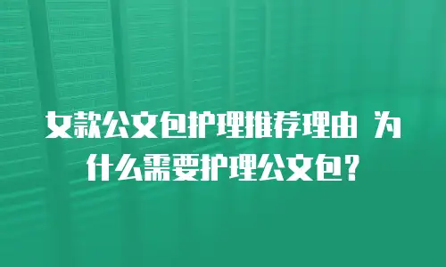  女款公文包护理推荐理由 为什么需要护理公文包？