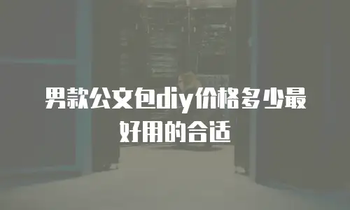 男款公文包diy价格多少最好用的合适