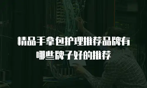 精品手拿包护理推荐品牌有哪些牌子好的推荐