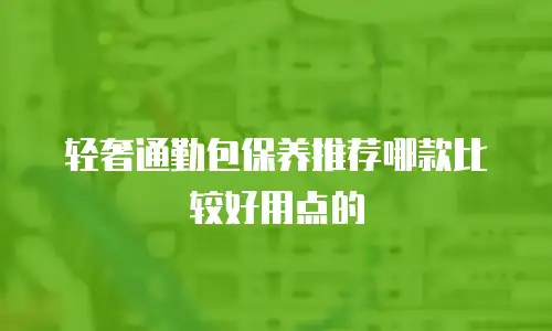 轻奢通勤包保养推荐哪款比较好用点的