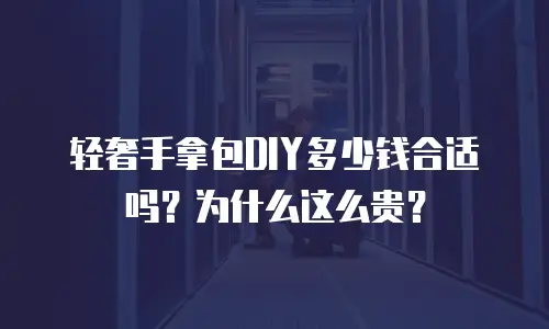 轻奢手拿包DIY多少钱合适吗？为什么这么贵？