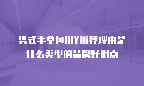 男式手拿包DIY推荐理由是什么类型的品牌好用点