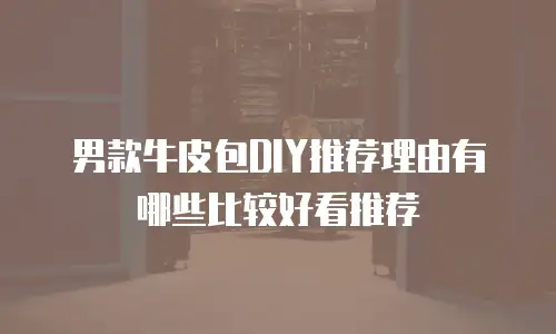 男款牛皮包DIY推荐理由有哪些比较好看推荐