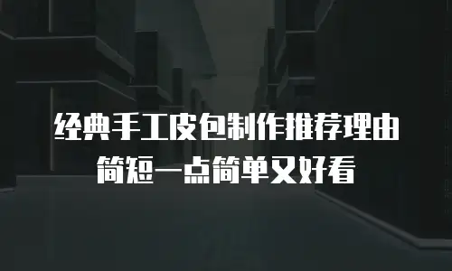 经典手工皮包制作推荐理由简短一点简单又好看