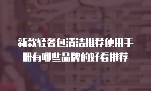 新款轻奢包清洁推荐使用手册有哪些品牌的好看推荐
