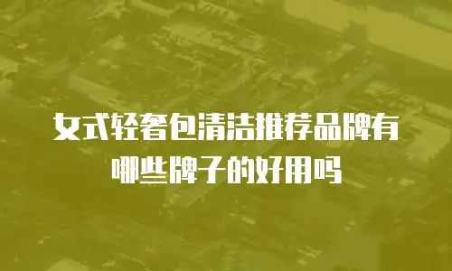 女式轻奢包清洁推荐品牌有哪些牌子的好用吗
