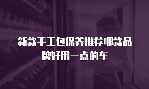 新款手工包保养推荐哪款品牌好用一点的车