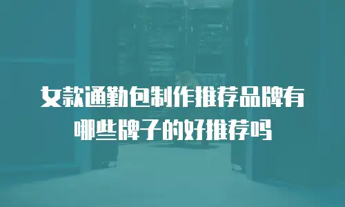女款通勤包制作推荐品牌有哪些牌子的好推荐吗